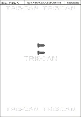 Šroub, brzdový kotouč TRISCAN 8105116008