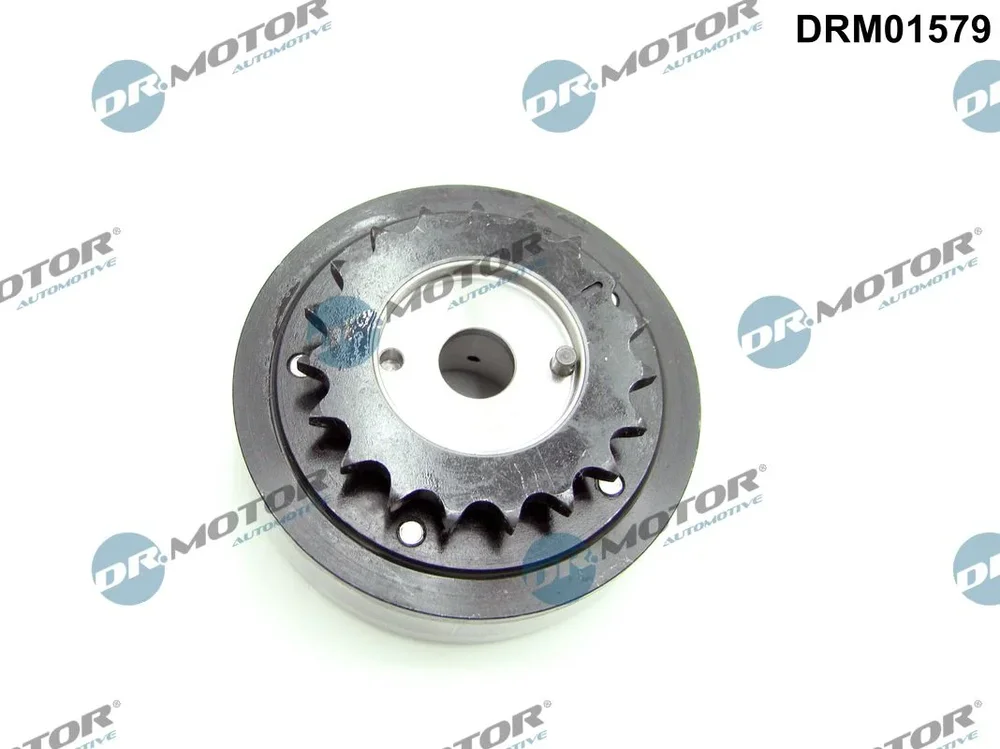 Nastavovač vačkového hřídele Dr.Motor Automotive DRM01579