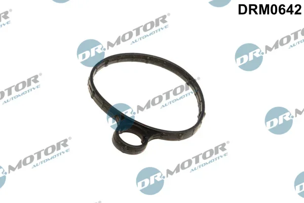 Těsnění, vakuové čerpadlo Dr.Motor Automotive DRM0642
