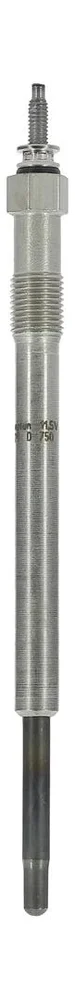 Zhavici svicka CHAMPION CH229