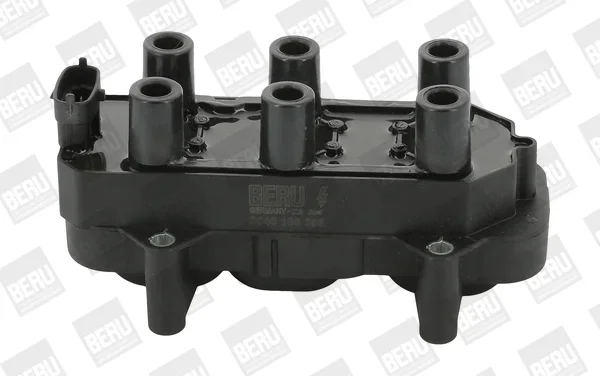 Zapalovací cívka BorgWarner ZS306