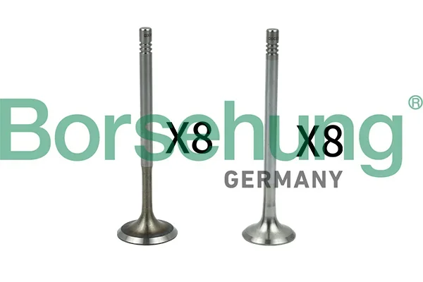 Ventil Borsehung B18630 Ventil Borsehung B18630
