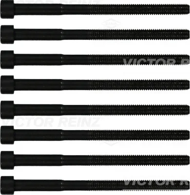 Sada sroubu pro hlavy valcu VICTOR REINZ 14-12060-01