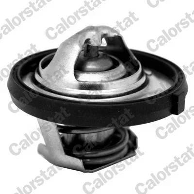 Termostat, chladivo CALORSTAT by Vernet TH7311.95J