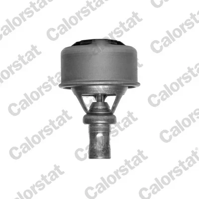 Termostat, chladivo CALORSTAT by Vernet TH4495.86
