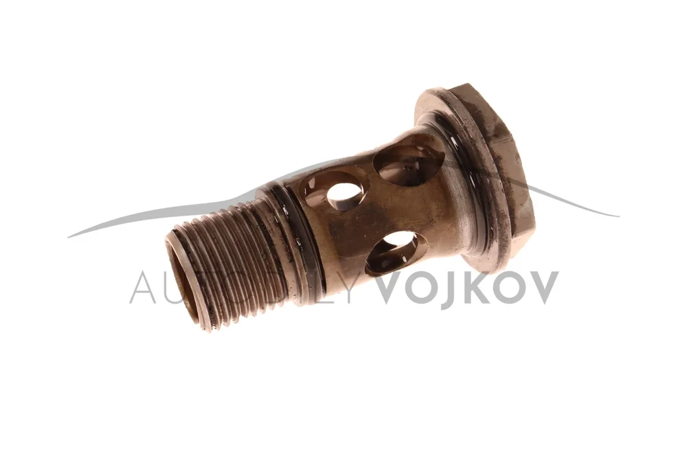 Dutý šroub pro olejové vedení turbodmychadla WHT000494 v:81103